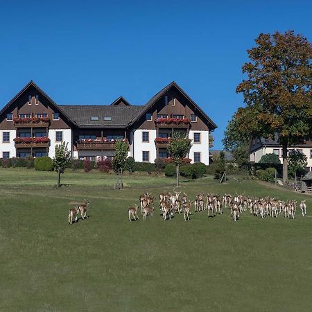 Ferienappartements Rausch Presseck Zewnętrze zdjęcie