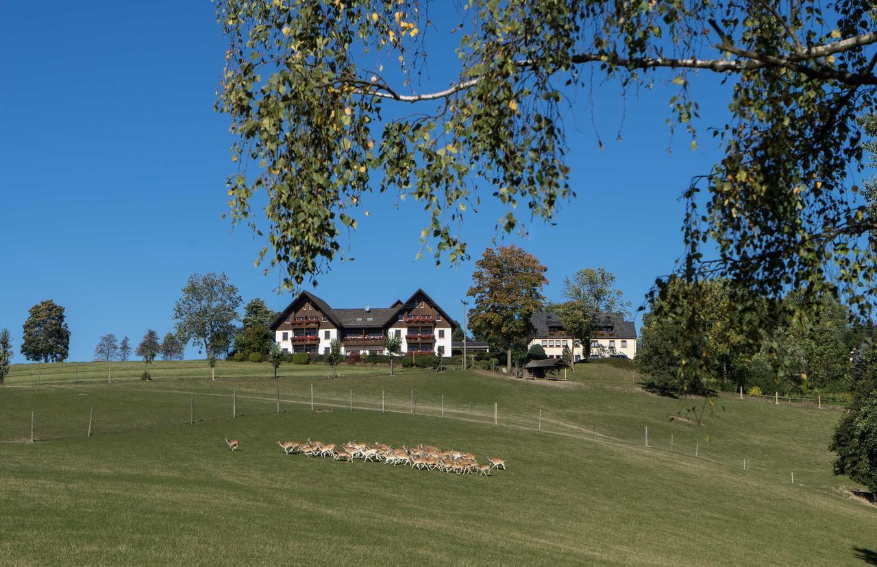 Ferienappartements Rausch Presseck Zewnętrze zdjęcie